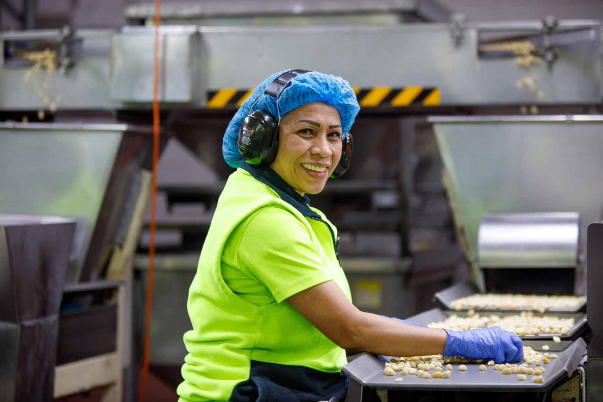 Macadamia sorting at Pasha processing facility
