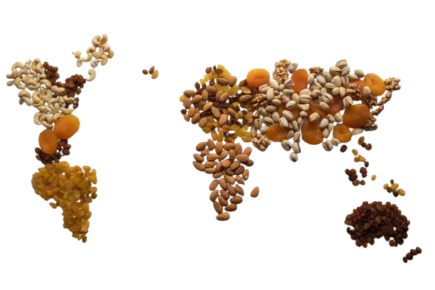Nuts and dried fruit arranged as a world map — Pasha's global trade